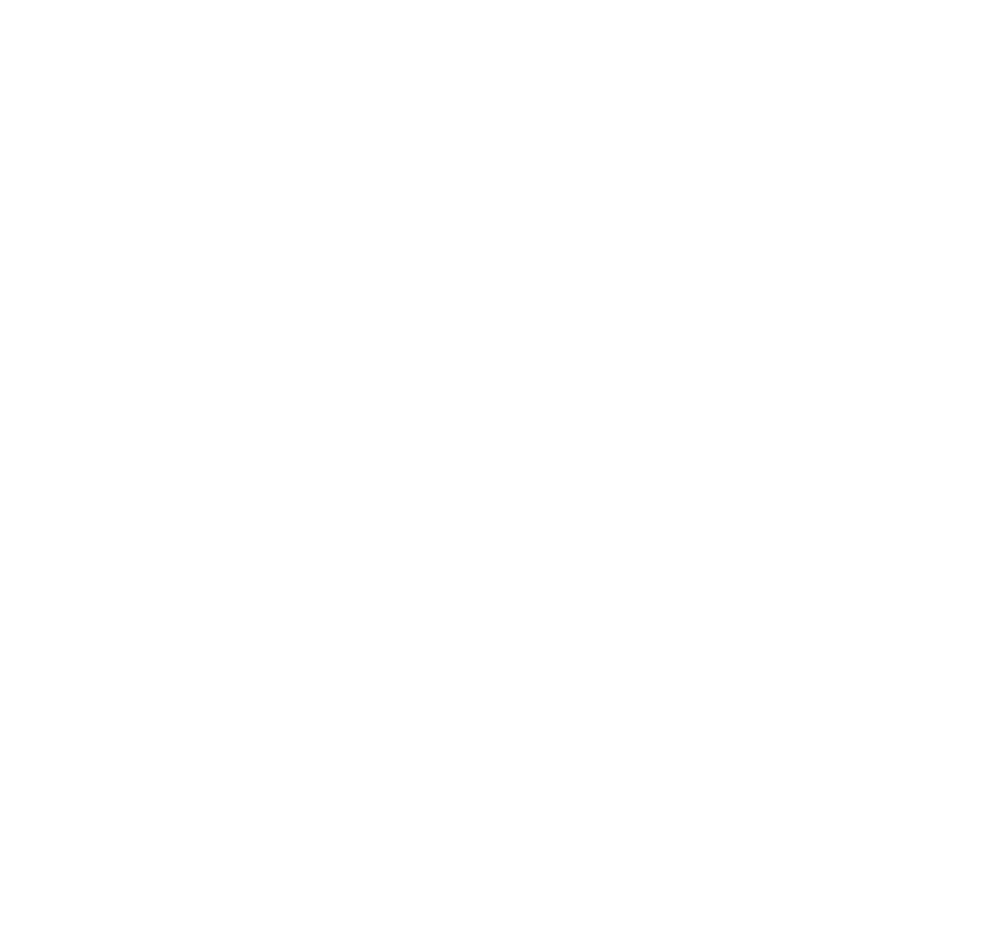   Transparencia   Lealtad   Rentabilidad   Sostenibilidad   Excelencia   Adaptabilidad   Resolución   Valor Agregado