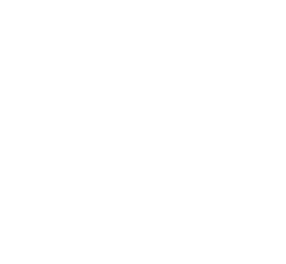 Posicionarnos como la empresa líder a nivel nacional e internacional confiable en la optimización de la cadena de sum   