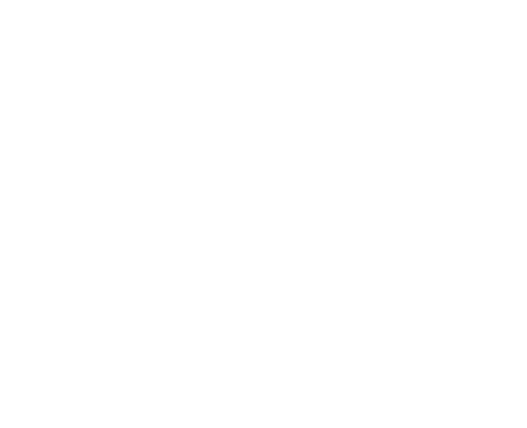 Con más de 12 años de experiencia en los negocios internacionales, contamos con personal directo en China, altamente    