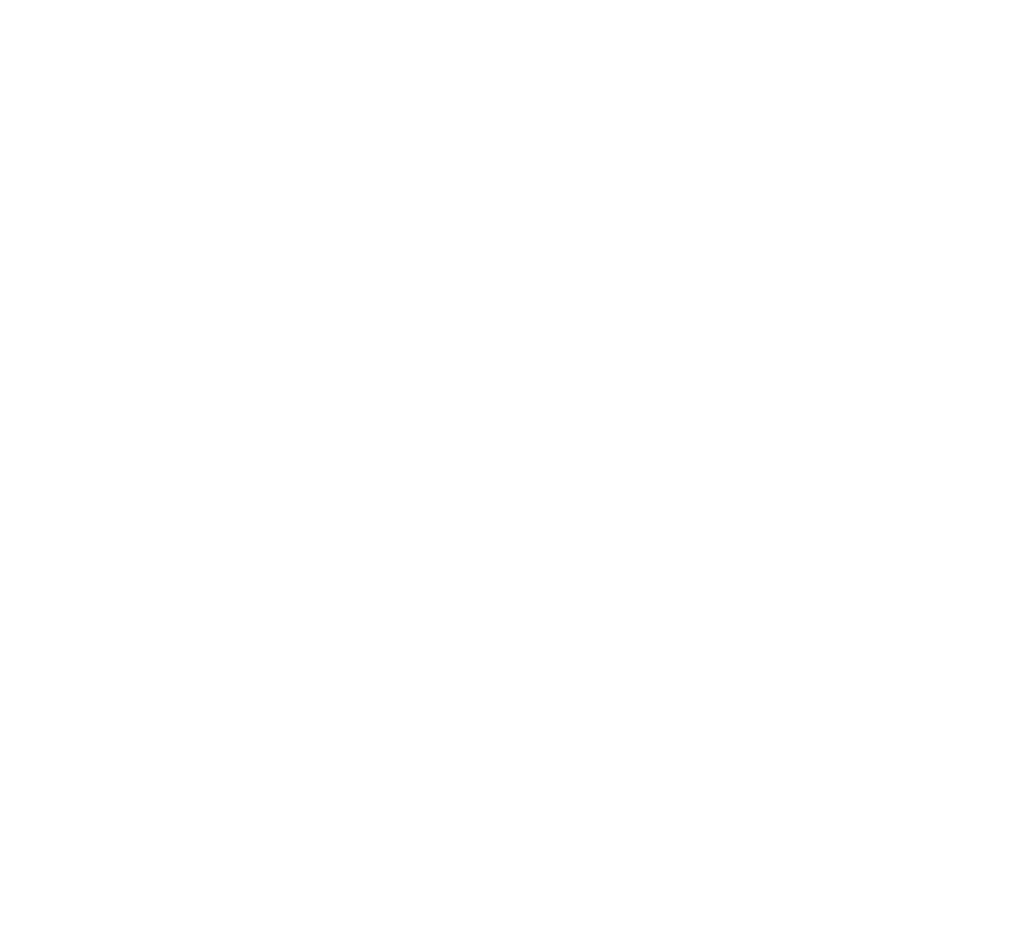   Transparency   Loyalty   Profitability   Sustainability   Excellence   Adaptability   Resolution   Added Value 